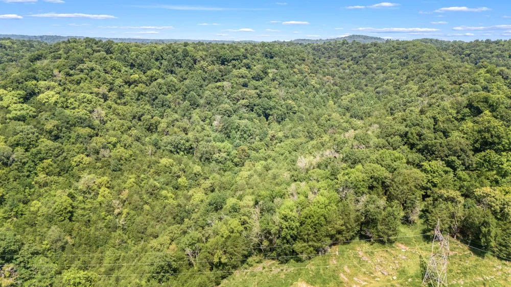 2203 Stones River Rd Woodbury, TN 37190
