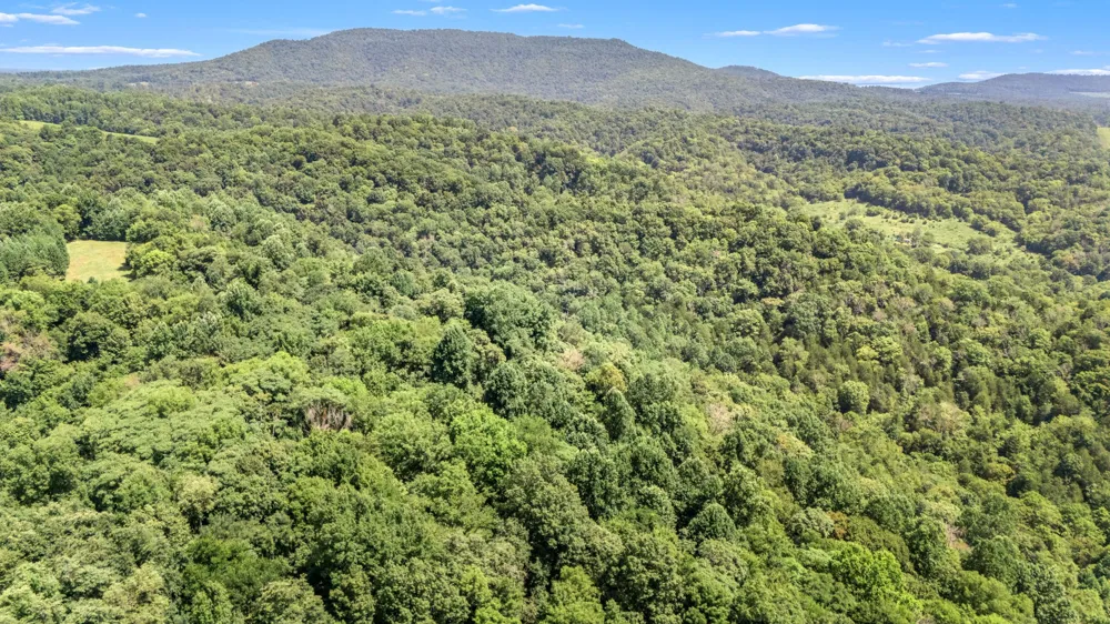 2203 Stones River Rd Woodbury, TN 37190