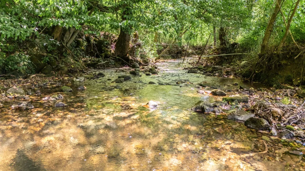 2203 Stones River Rd Woodbury, TN 37190