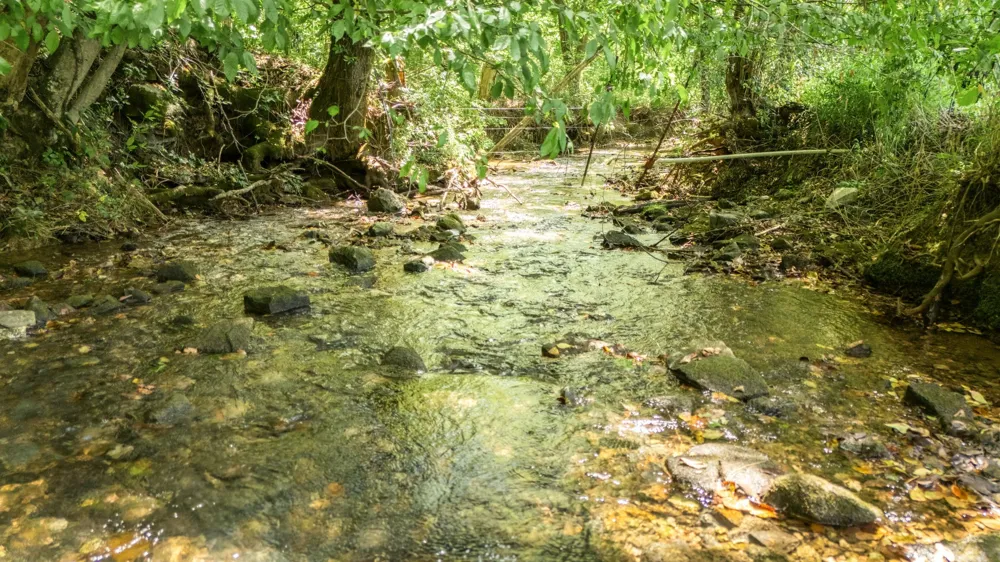 2203 Stones River Rd Woodbury, TN 37190