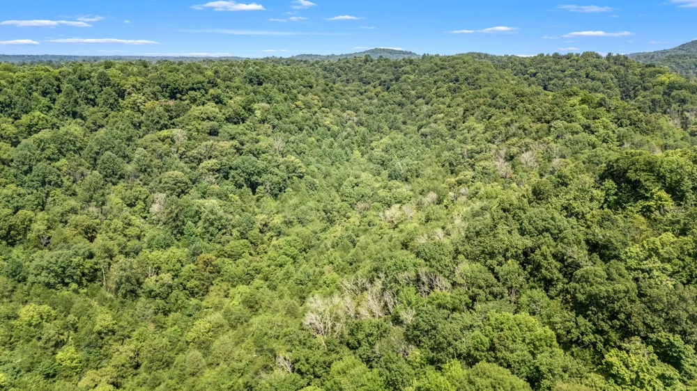 2203 Stones River Rd Woodbury, TN 37190