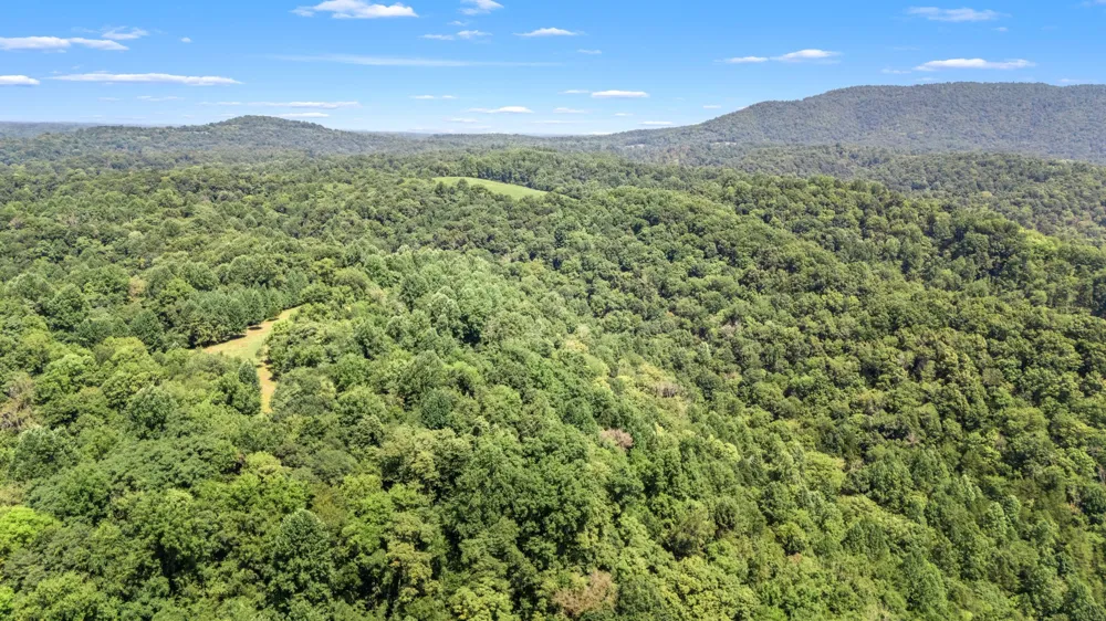 2203 Stones River Rd Woodbury, TN 37190