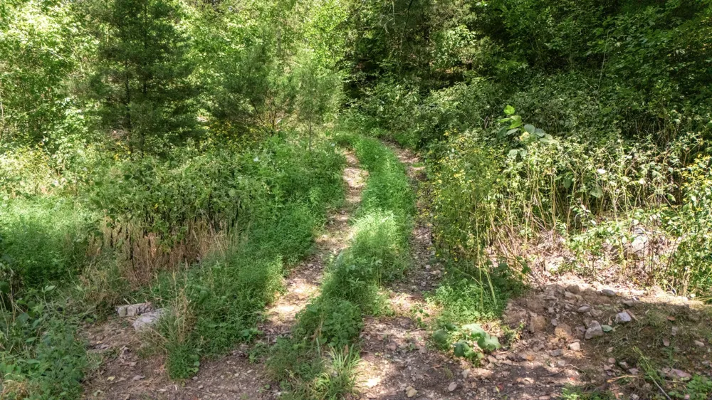 2203 Stones River Rd Woodbury, TN 37190