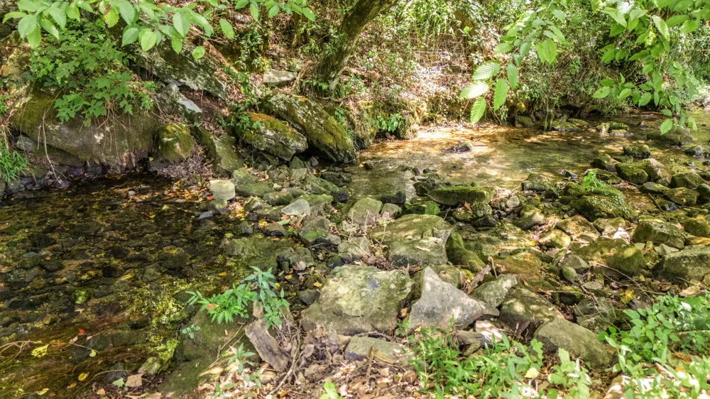 2203 Stones River Rd Woodbury, TN 37190