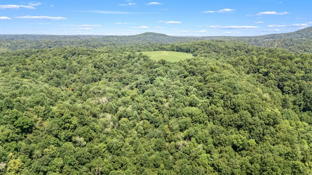 2203 Stones River Rd Woodbury, TN 37190