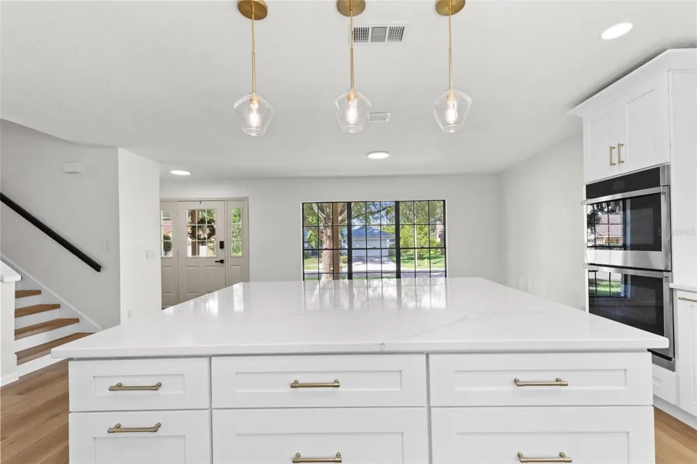 3720 MURRAY DALE DRIVE Valrico, FL 33596