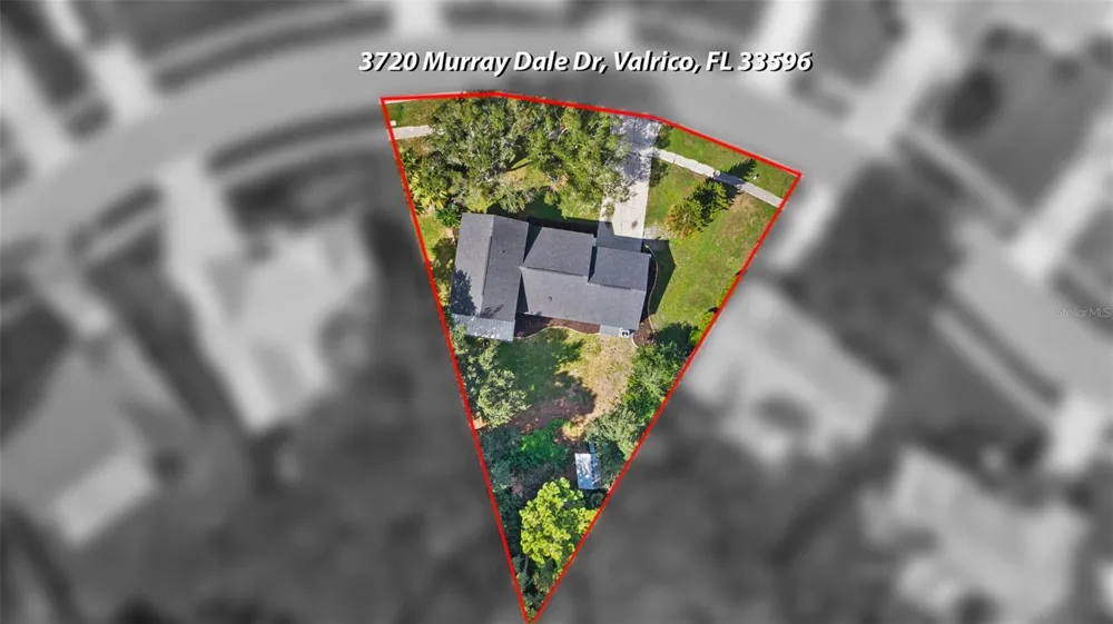 3720 MURRAY DALE DRIVE Valrico, FL 33596