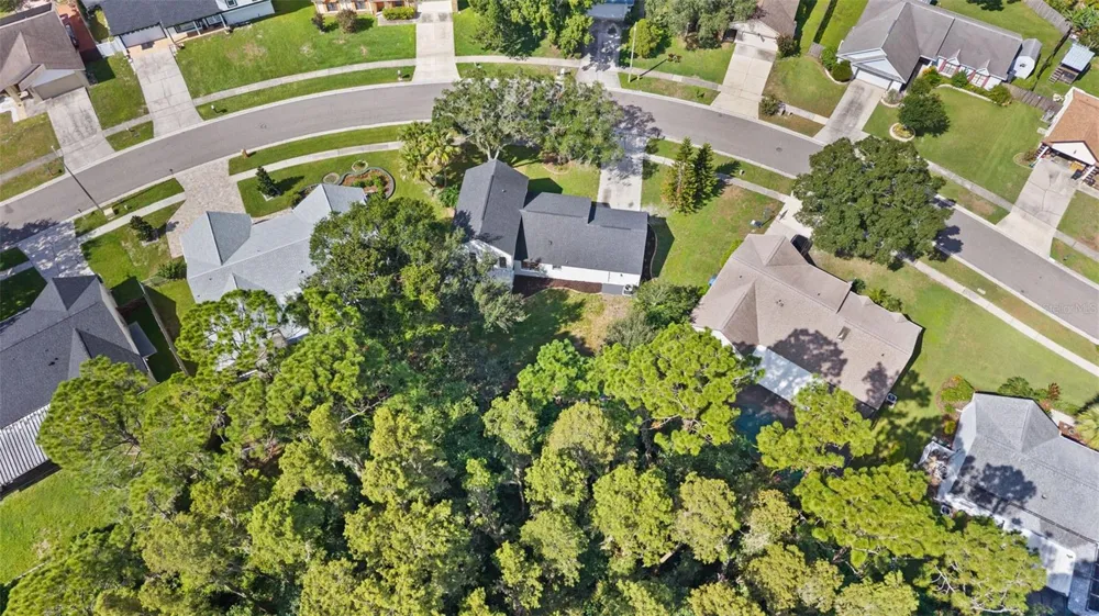 3720 MURRAY DALE DRIVE Valrico, FL 33596