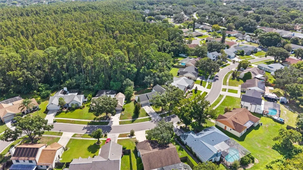 3720 MURRAY DALE DRIVE Valrico, FL 33596