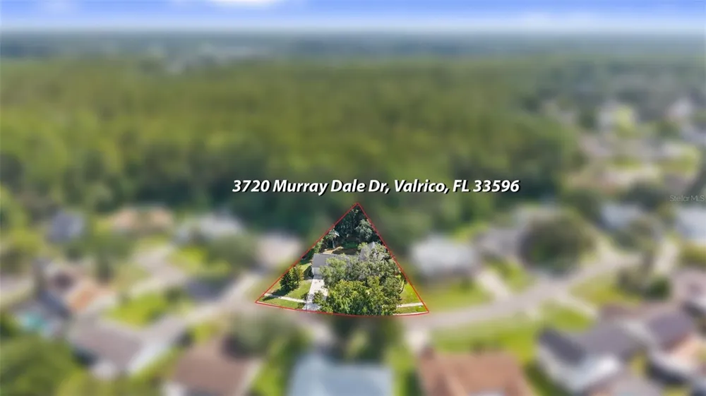 3720 MURRAY DALE DRIVE Valrico, FL 33596