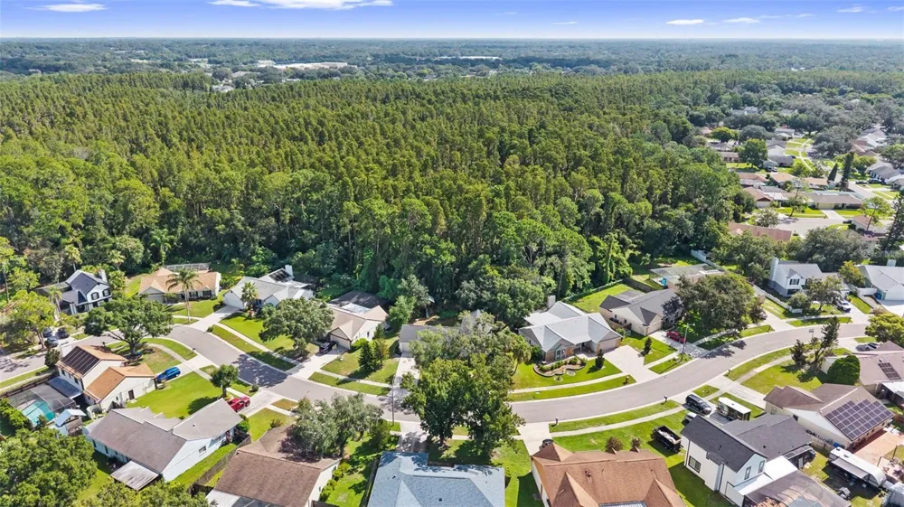 3720 MURRAY DALE DRIVE Valrico, FL 33596