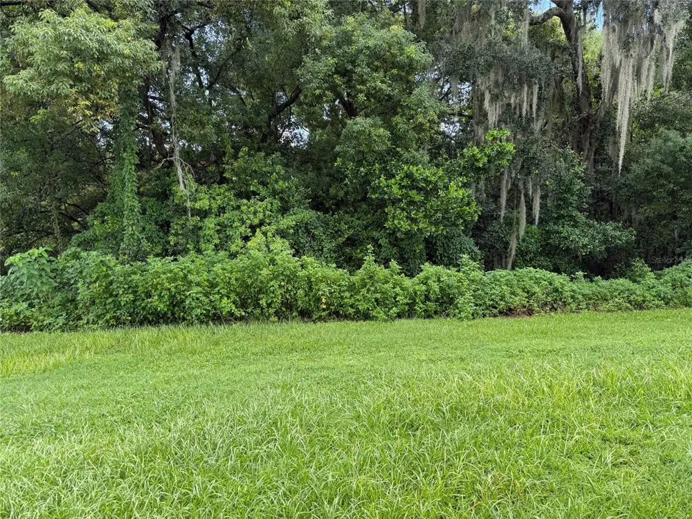 540 LINDSAY ANNE COURT Plant City, FL 33563