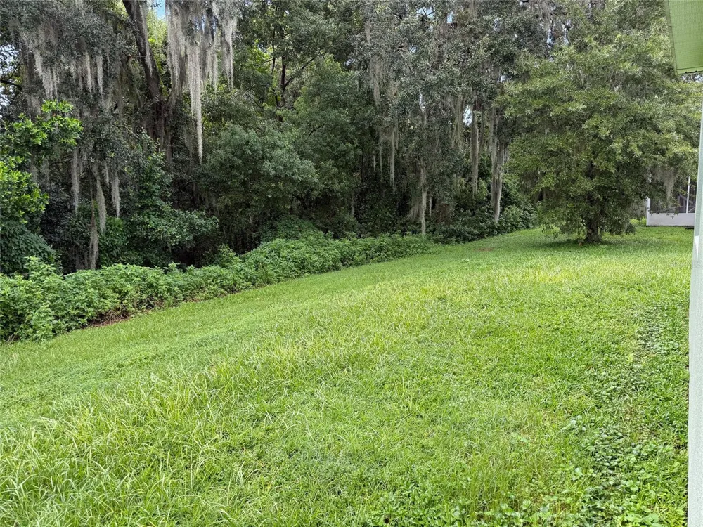 540 LINDSAY ANNE COURT Plant City, FL 33563