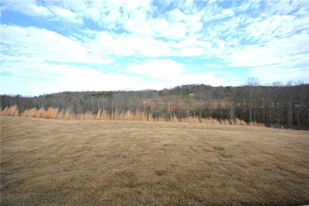 1450 Sunny Valley Lane Braselton, GA 30517