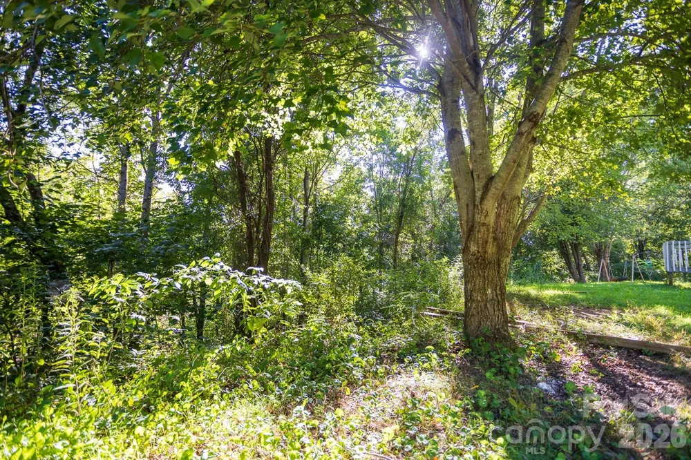 56 Longs Chapel Road Weaverville, NC 28787