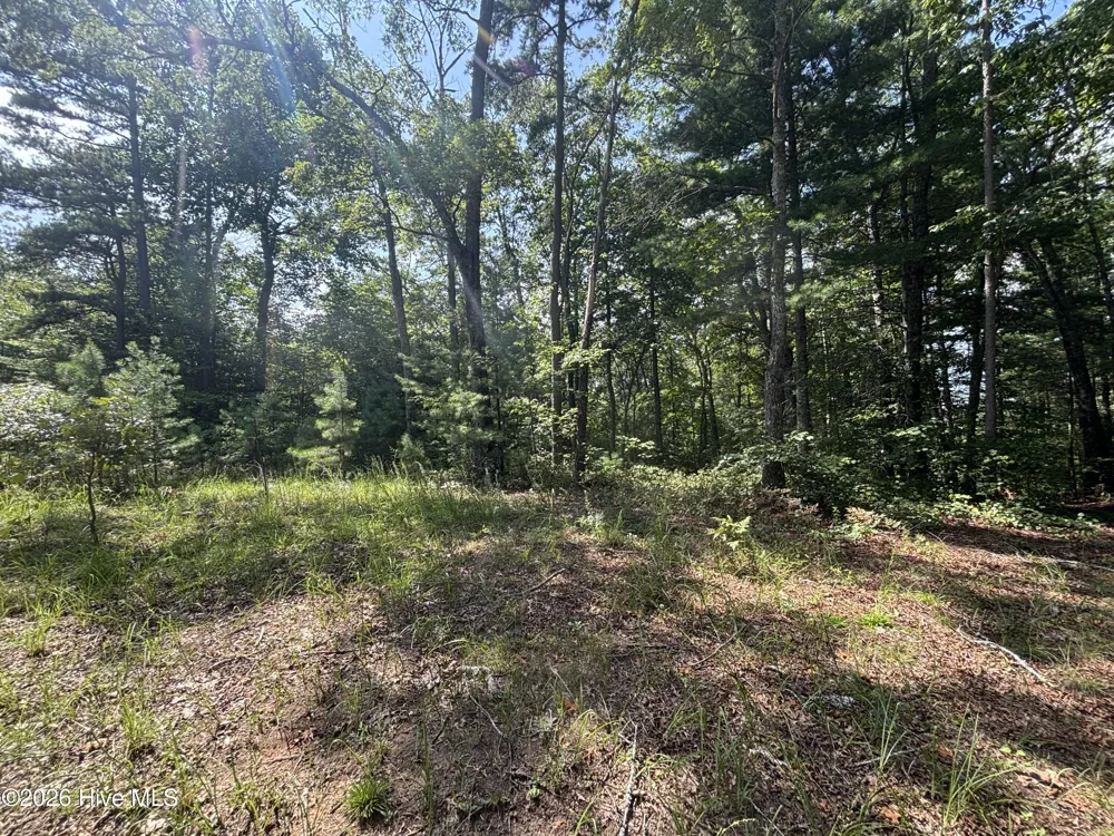 5 Majestic Mountain Trail Murphy, NC 28906