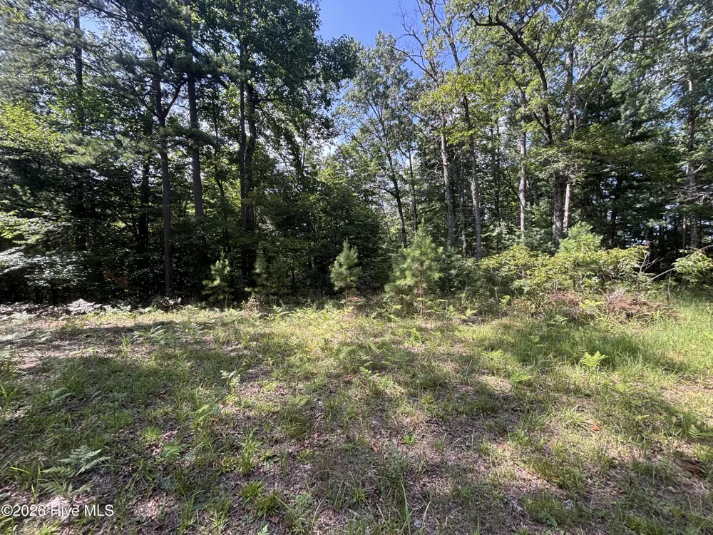 5 Majestic Mountain Trail Murphy, NC 28906