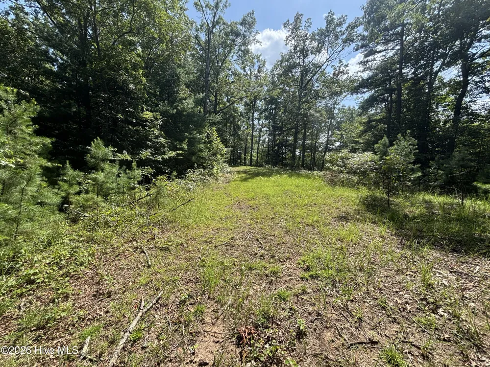 5 Majestic Mountain Trail Murphy, NC 28906