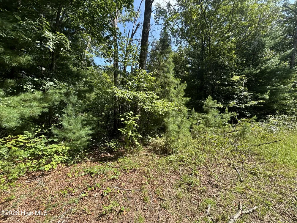 5 Majestic Mountain Trail Murphy, NC 28906