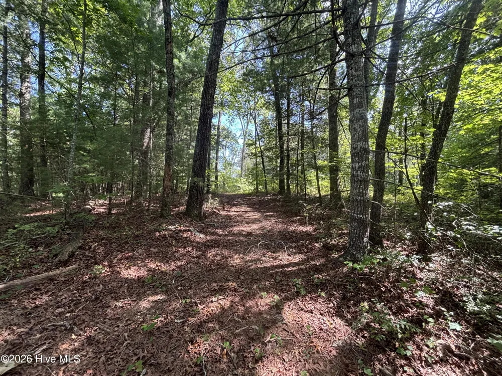 4 Majestic Mountain Trail Murphy, NC 28906