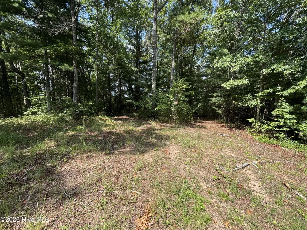 4 Majestic Mountain Trail Murphy, NC 28906