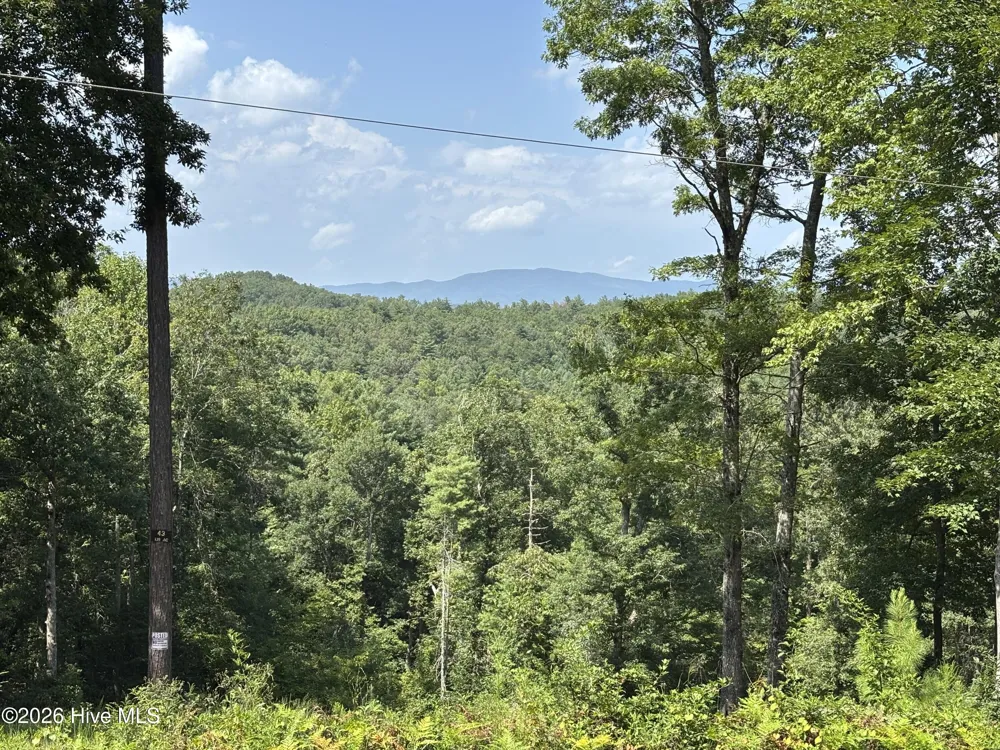 4 Majestic Mountain Trail Murphy, NC 28906