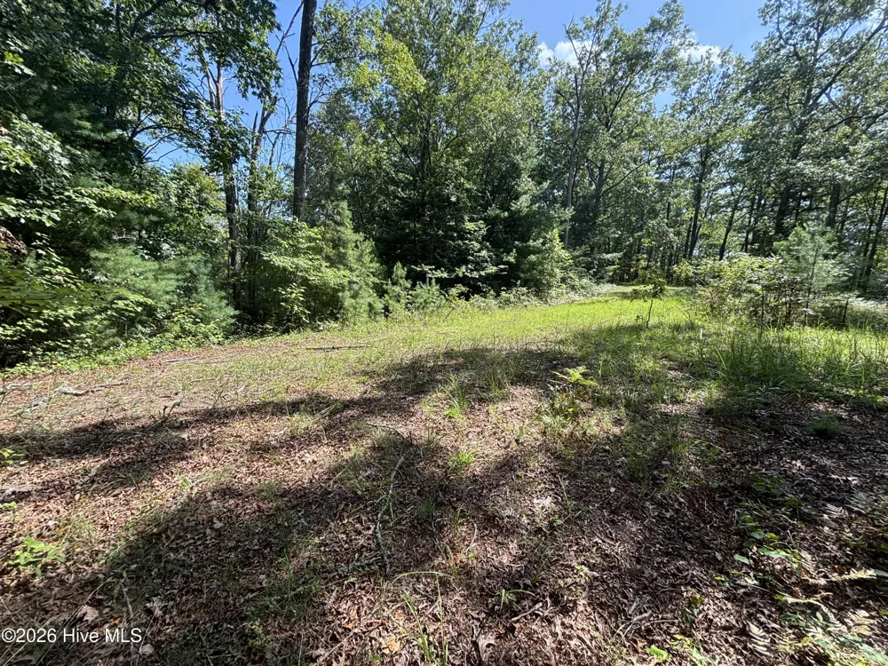 4 Majestic Mountain Trail Murphy, NC 28906
