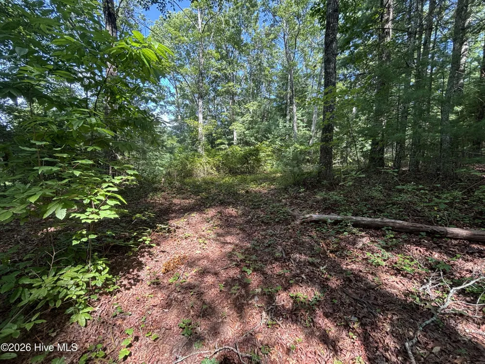 4 Majestic Mountain Trail Murphy, NC 28906