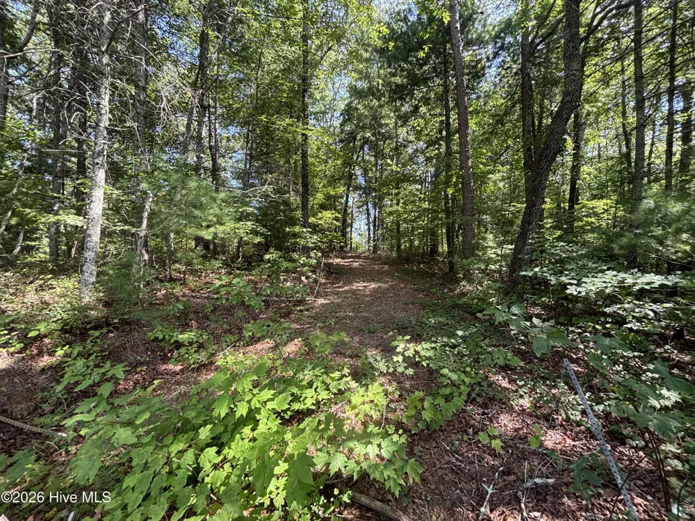 4 Majestic Mountain Trail Murphy, NC 28906