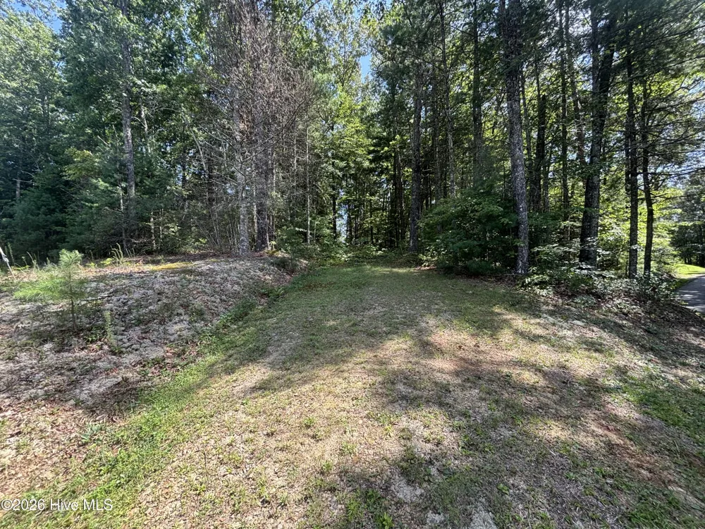 4 Majestic Mountain Trail Murphy, NC 28906