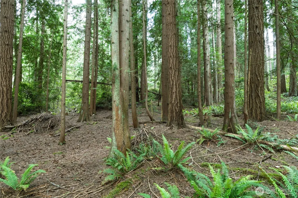 20853 Viking Avenue NW Poulsbo, WA 98370