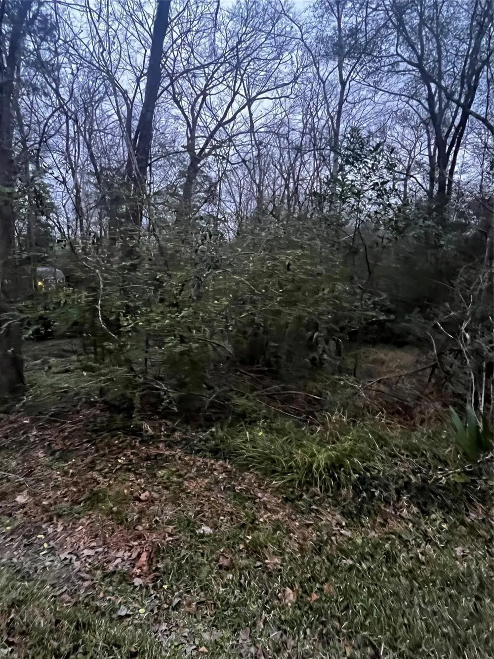 Elm Street Huffman, TX 77336