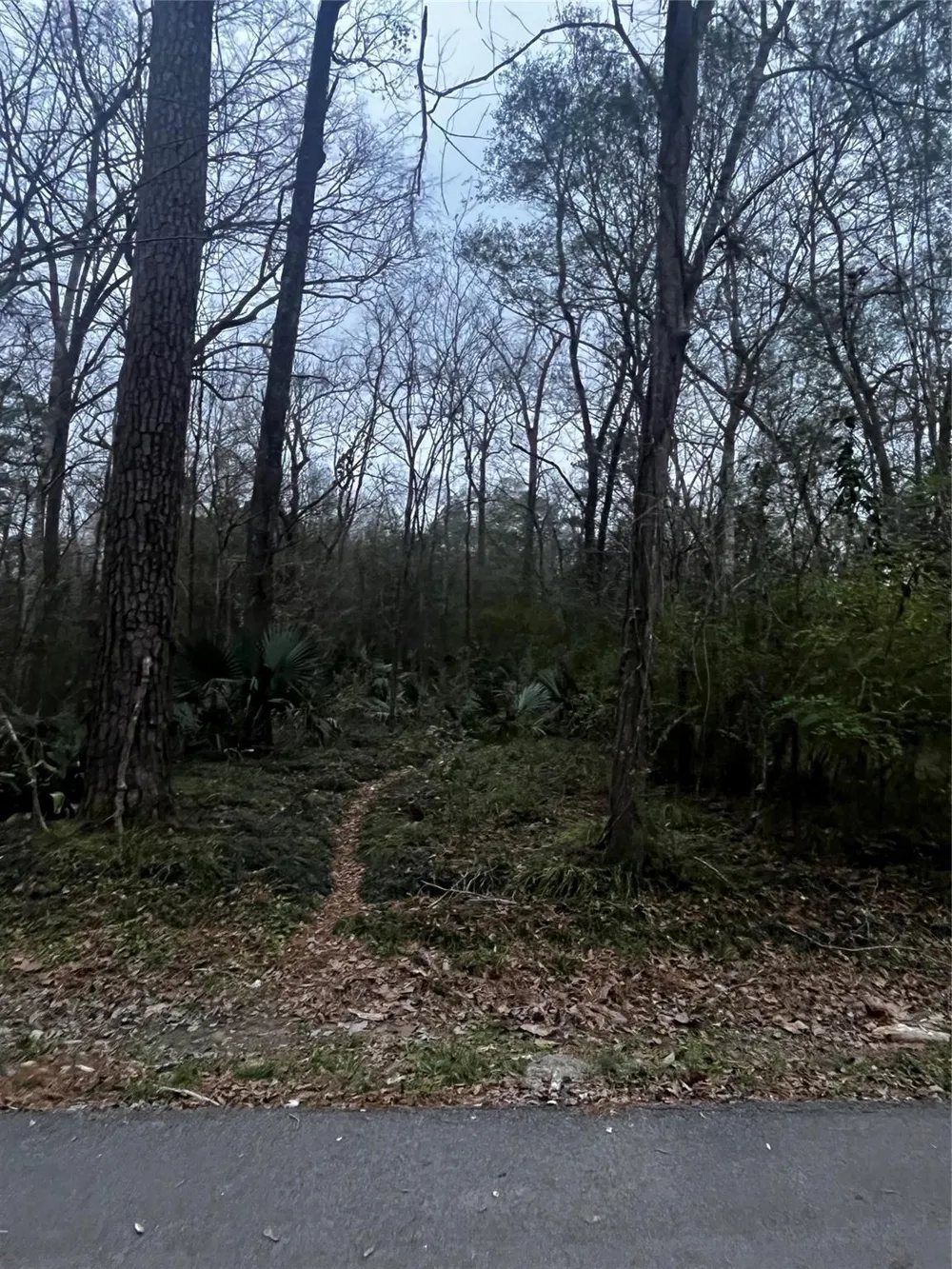 Elm Street Huffman, TX 77336