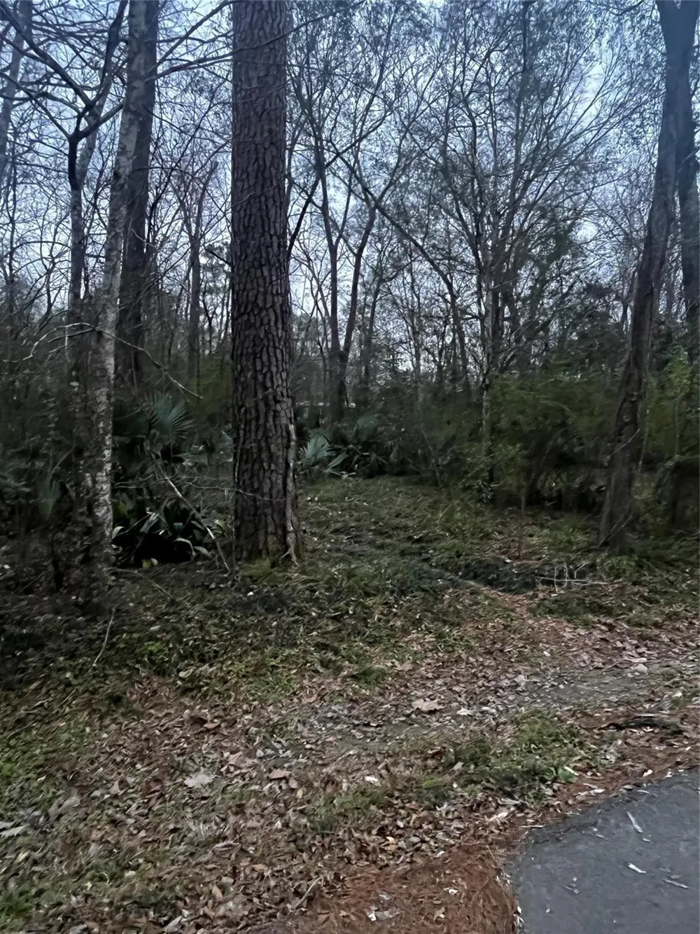Elm Street Huffman, TX 77336