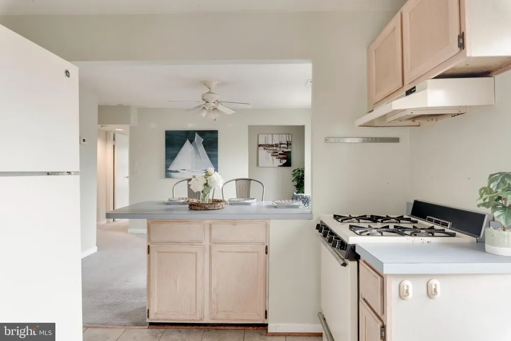 101 CHARLES STREET #C Annapolis, MD 21401