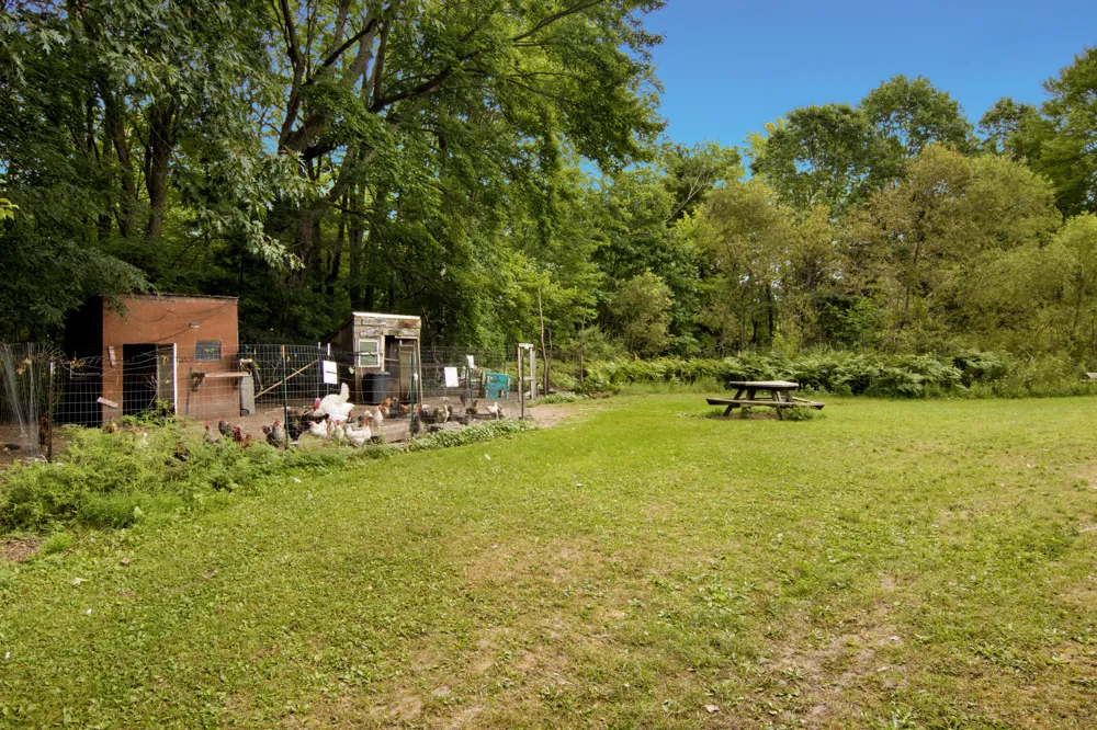 1846 E Koenig Road Free Soil, MI 49411