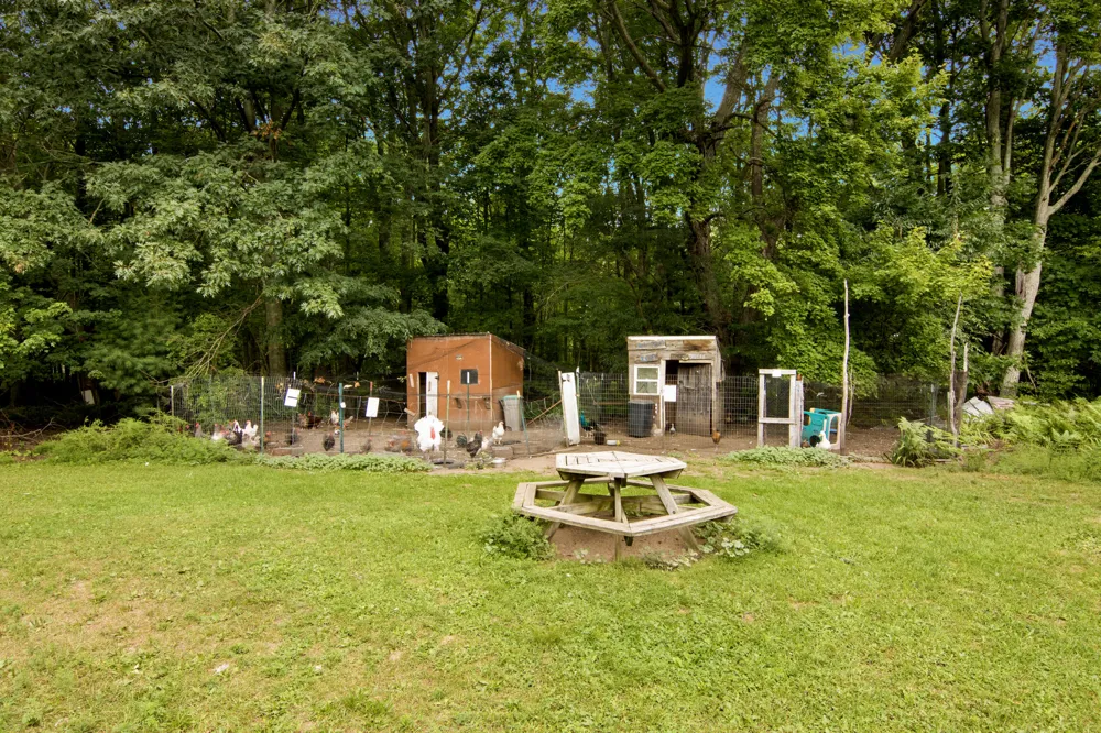1846 E Koenig Road Free Soil, MI 49411