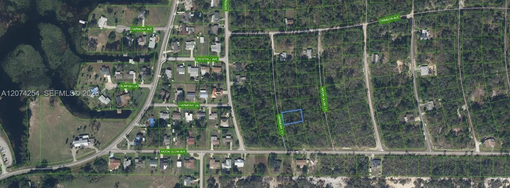 209 Harmony Court Lake Placid, FL 33852