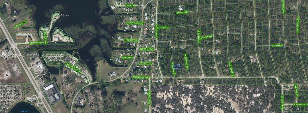 209 Harmony Court Lake Placid, FL 33852