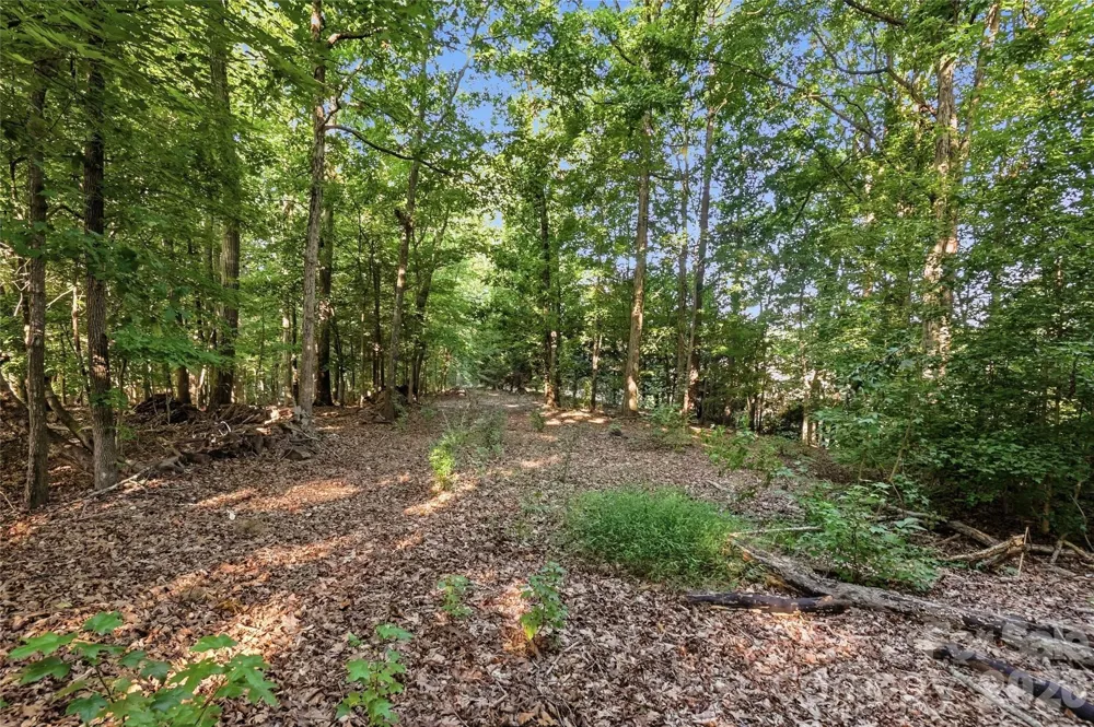 9704 Windygap Road Charlotte, NC 28278