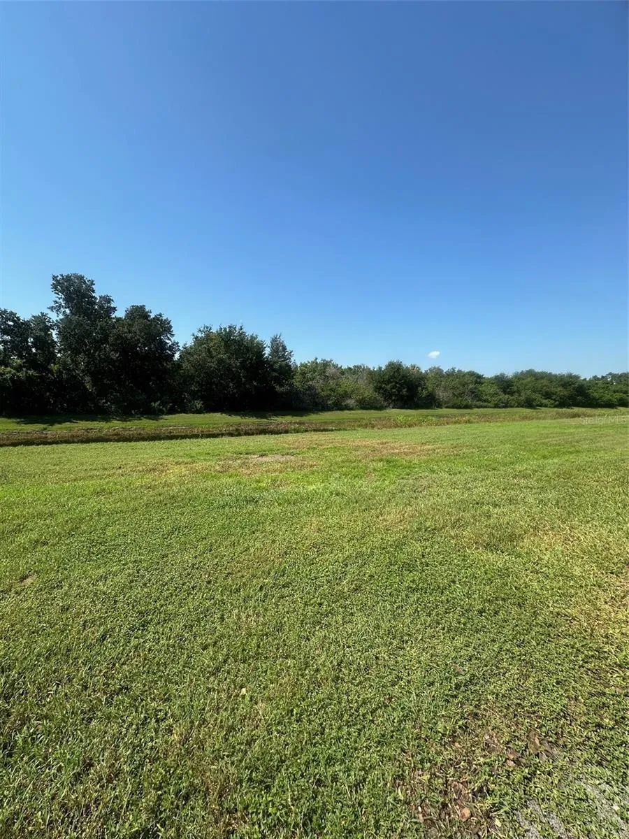 2516 EDGEWATER FALLS DRIVE Brandon, FL 33511