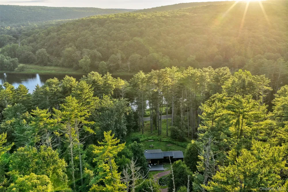 151 Hankins Road Narrowsburg, NY 12764
