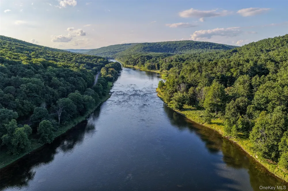151 Hankins Road Narrowsburg, NY 12764