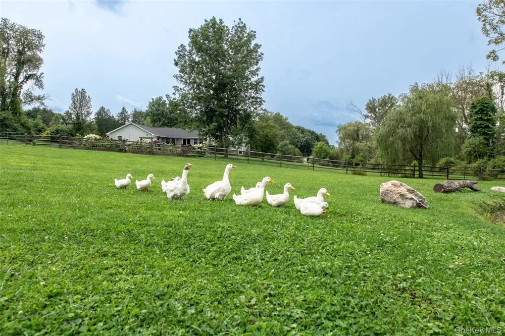 27 Verbank Club Road Verbank, NY 12585