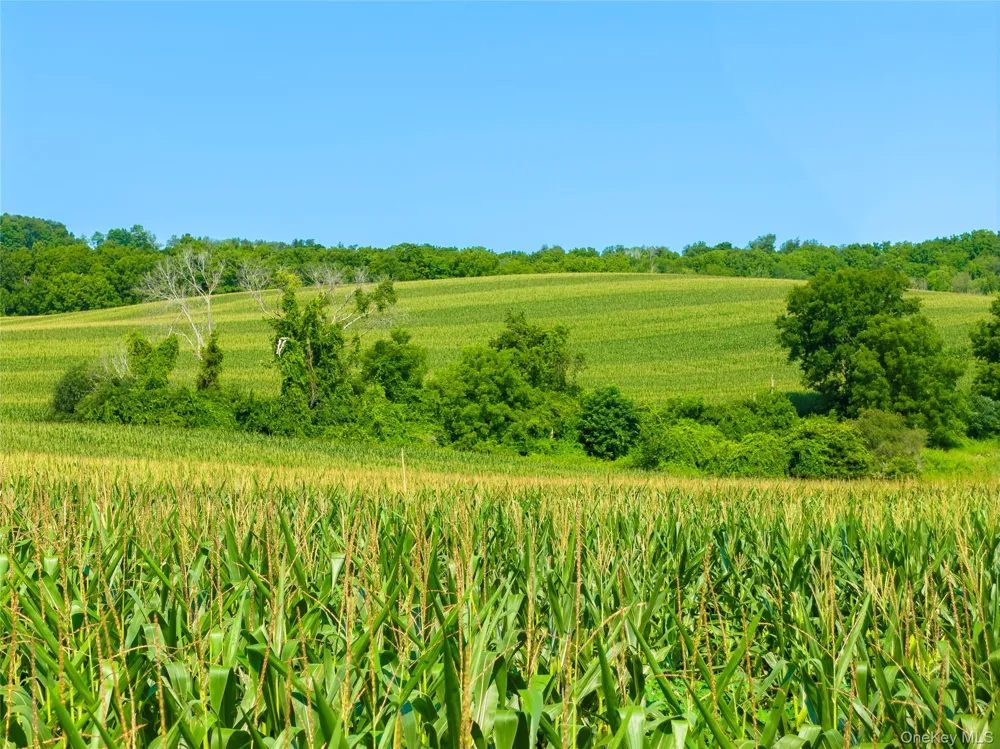 5246 Route 22 Amenia, NY 12501