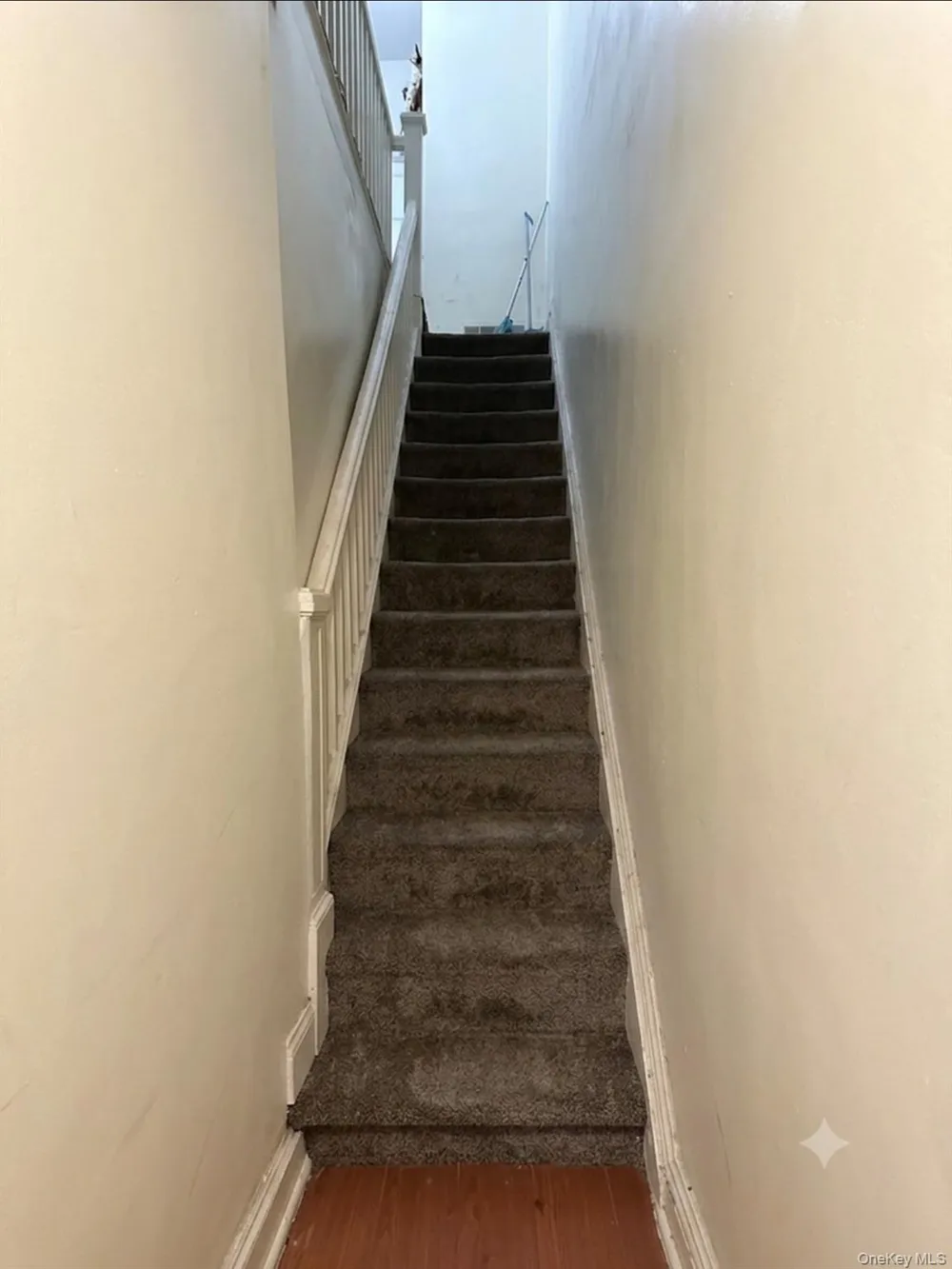 234 Dahill Road Brooklyn, NY 11218