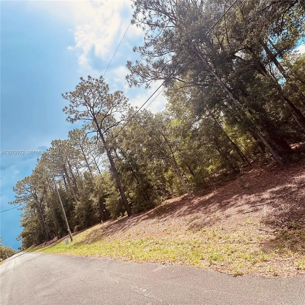 SW 54 Street Other City - In The State Of Florida, FL 34431