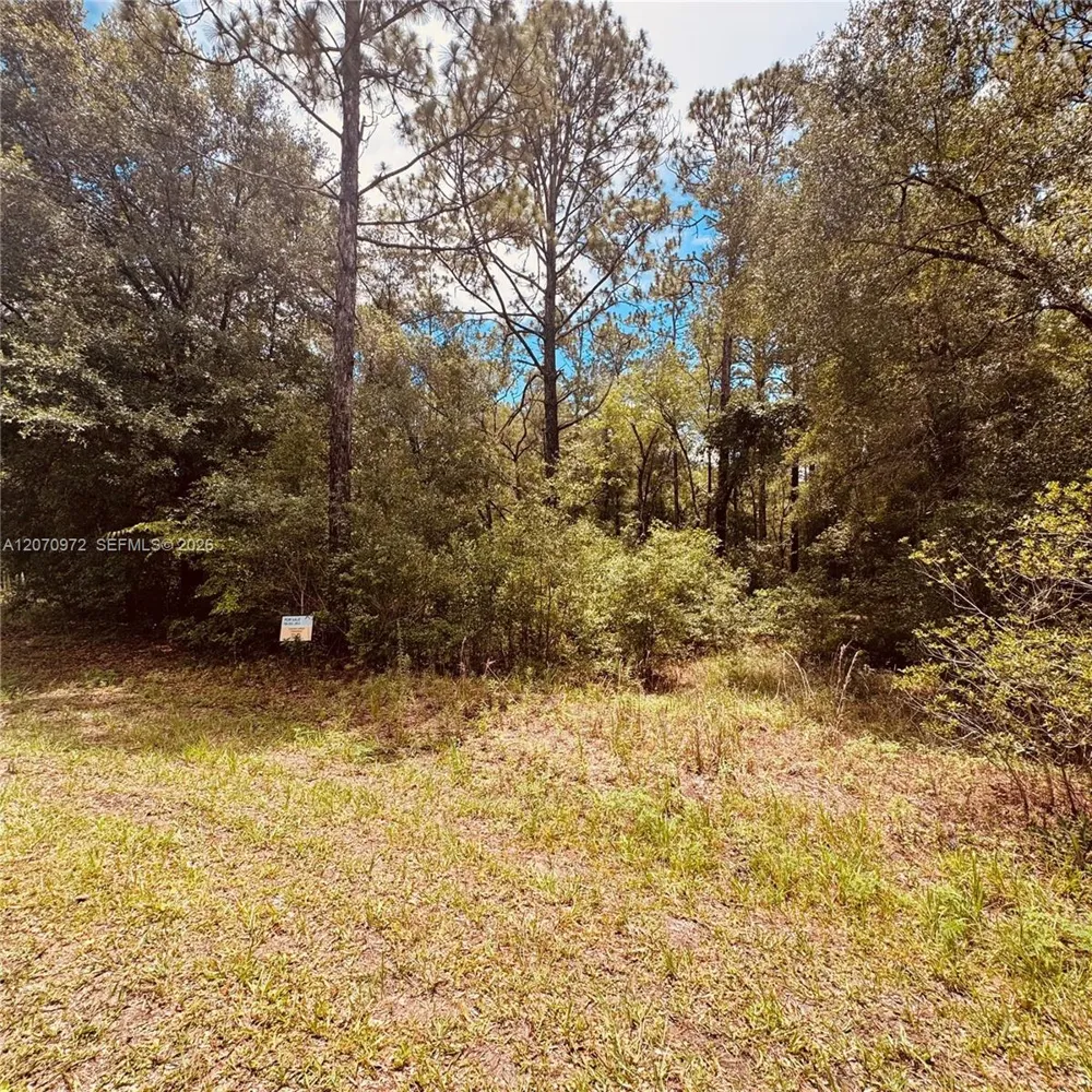 SW 54 Street Other City - In The State Of Florida, FL 34431
