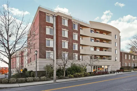 242 Maple Avenue #504