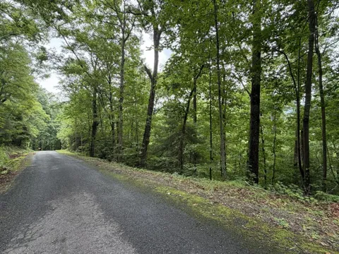 4.63 Twiggs Road